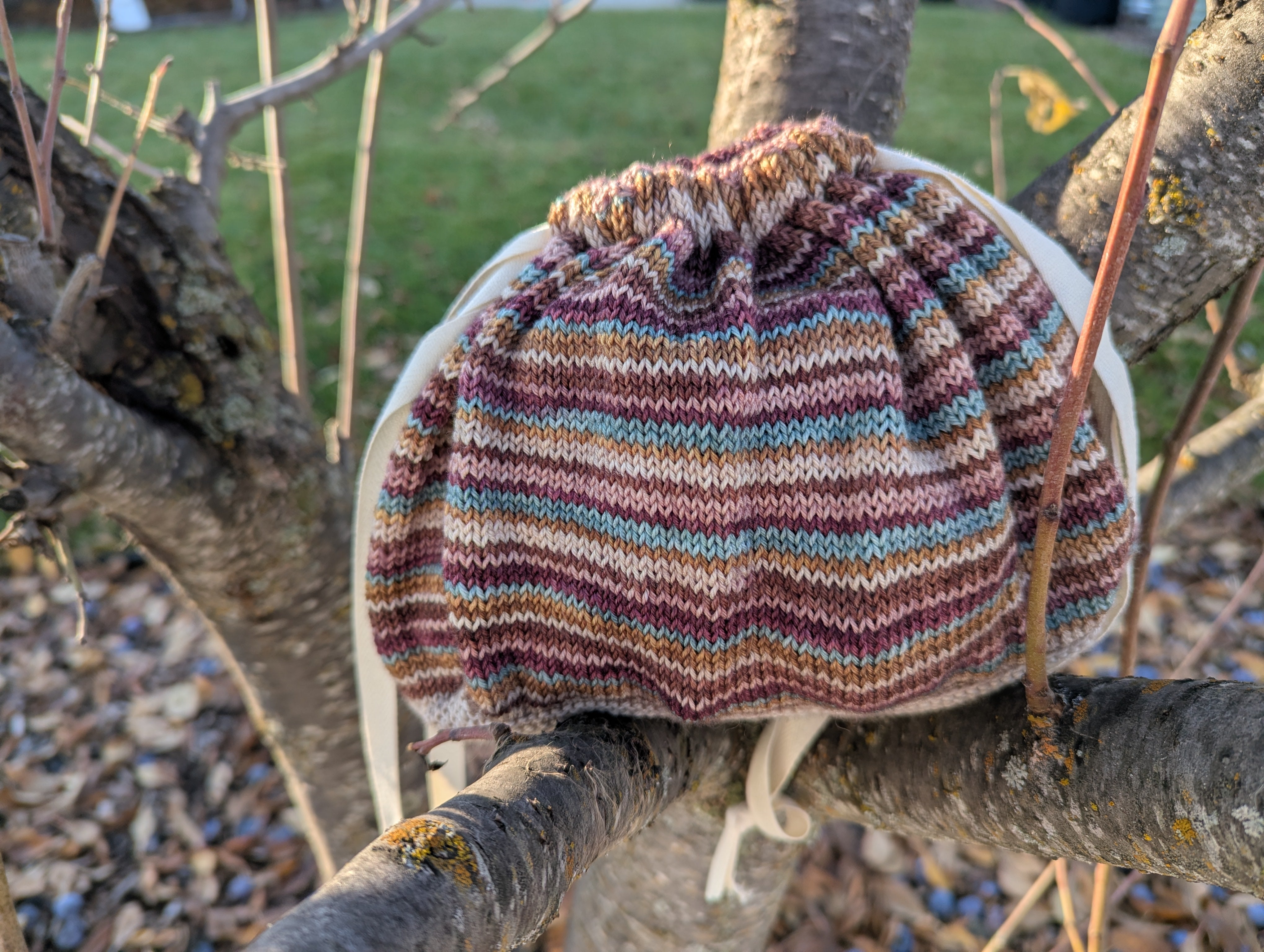 Squirrel Chase - September 2025 Nature's Palette Extras