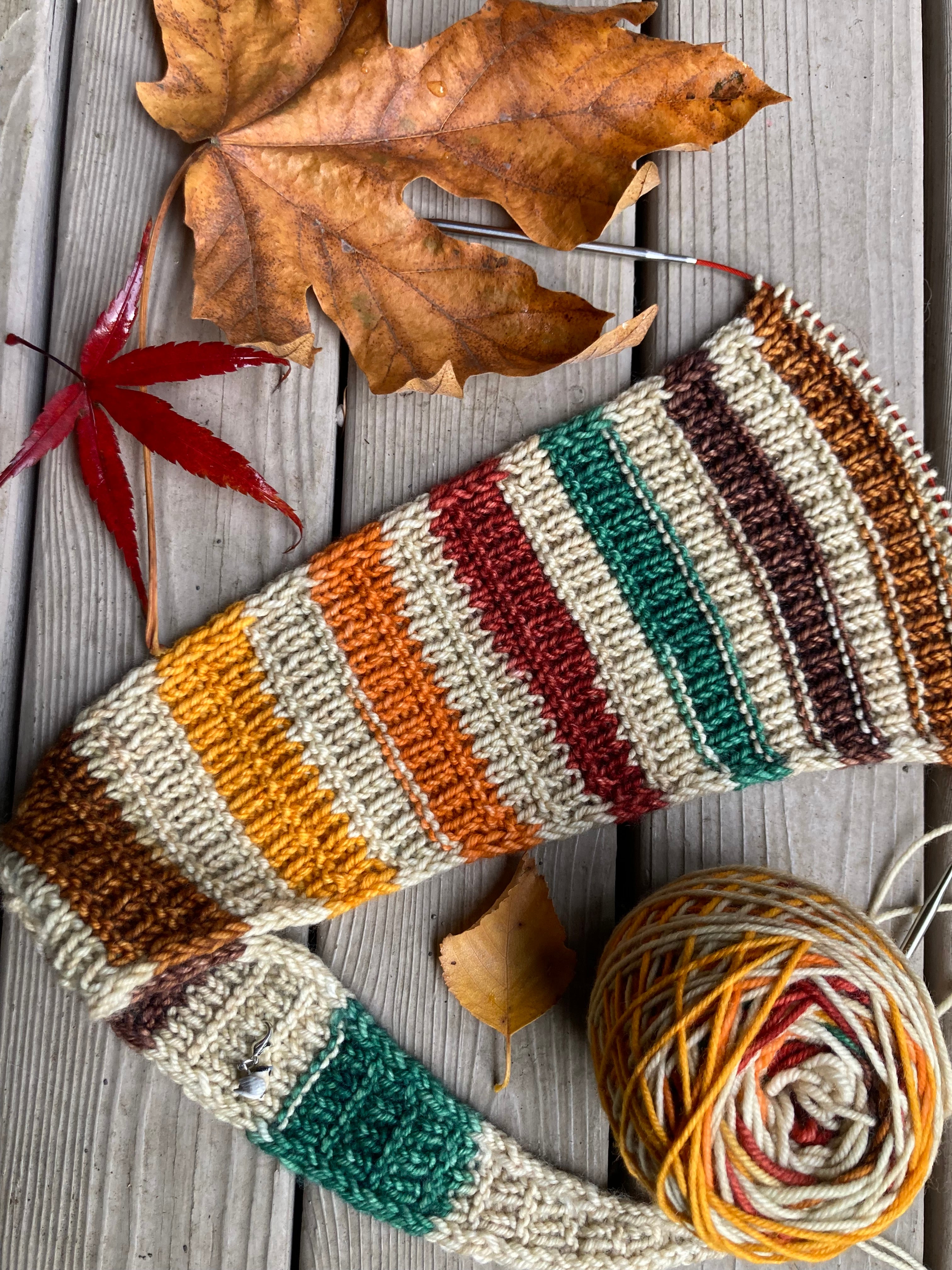 Hot Cider and Hay Rides - November 2025 Yarn Club Extras
