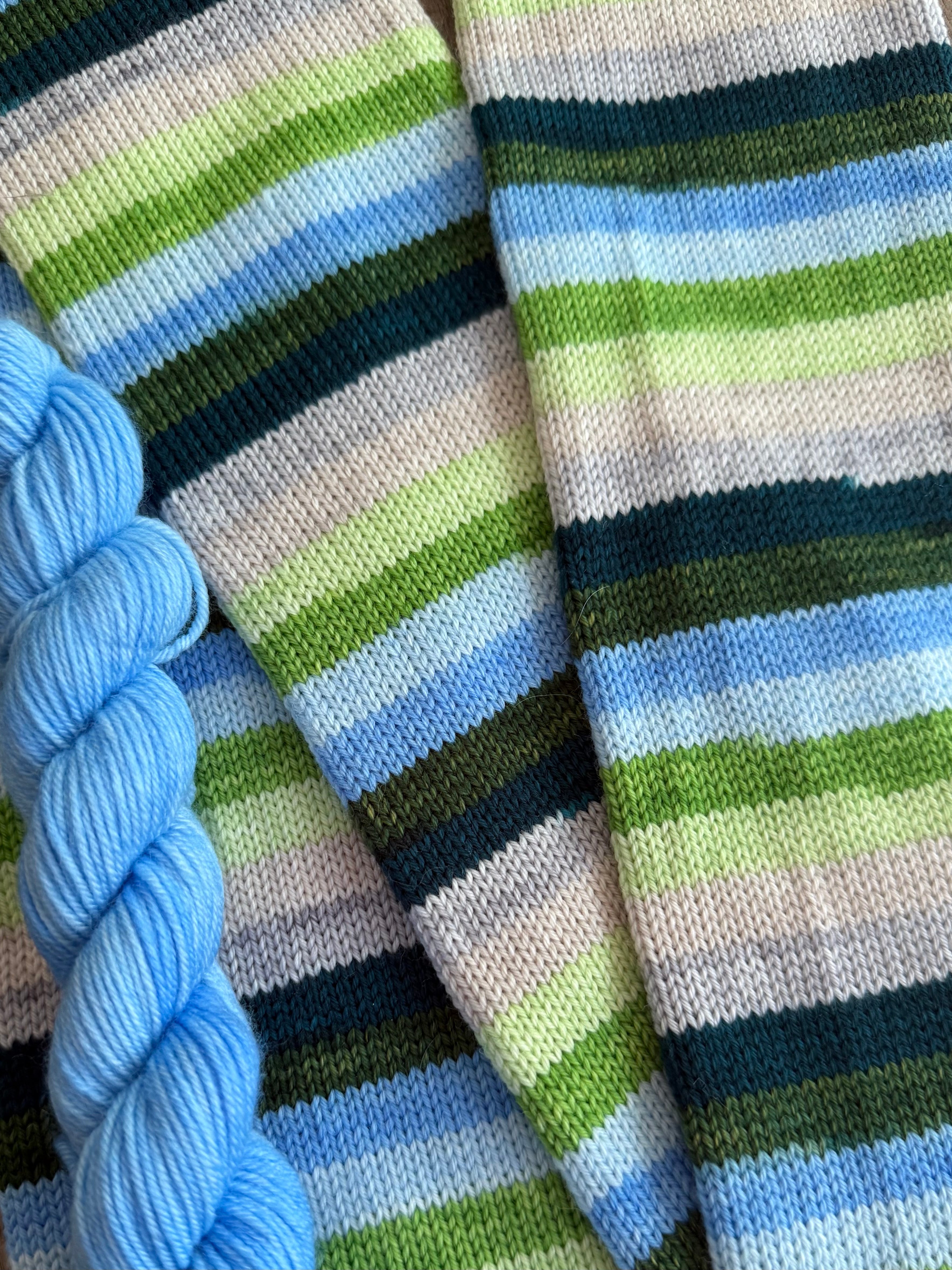 Baby Sea Turtle Season - July 2025 Nature's Palette Extras